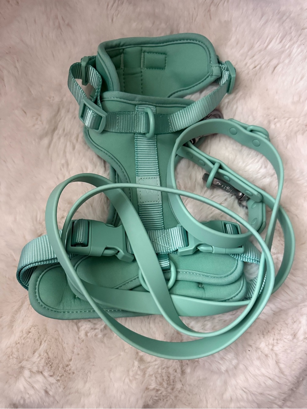 Wild One Harness Medium & Adjustable Leash